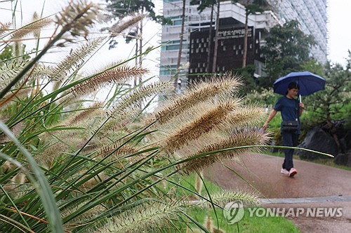 가을비 내리는 서울. [연합뉴스]